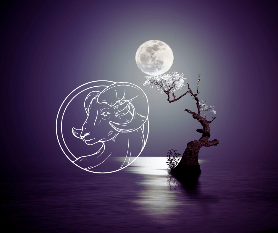 Natal Moon in Aries Meaning: Emotional Traits, Love Life, and Personality&nbsp;Guide