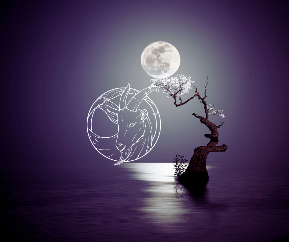 Natal Moon in Capricorn