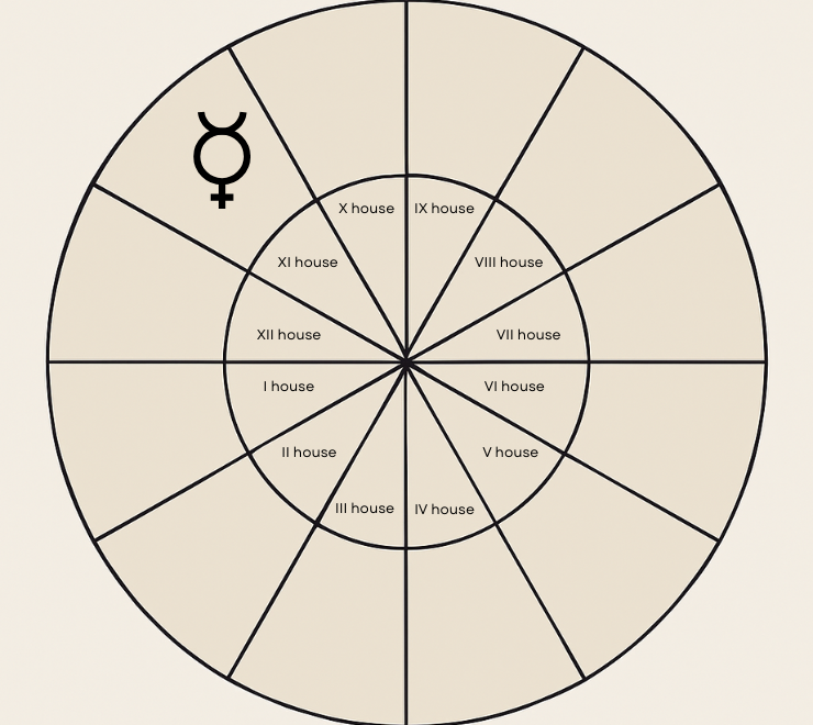 natal mercury in the eleventh house